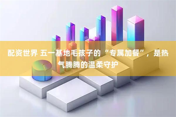 配资世界 五一基地毛孩子的 “专属加餐”，是热气腾腾的温柔守护