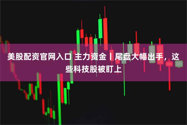 美股配资官网入口 主力资金丨尾盘大幅出手，这些科技股被盯上