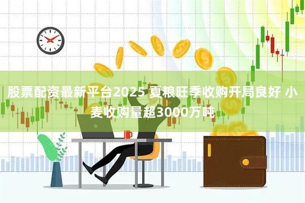 股票配资最新平台2025 夏粮旺季收购开局良好 小麦收购量超3000万吨