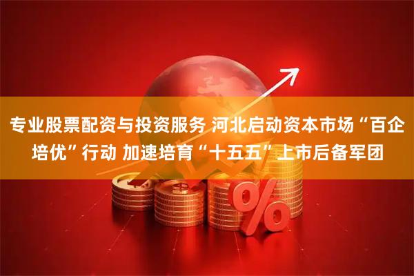 专业股票配资与投资服务 河北启动资本市场“百企培优”行动 加速培育“十五五”上市后备军团